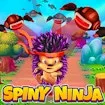 Spiny Ninja