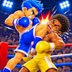 Super Kick Boxing